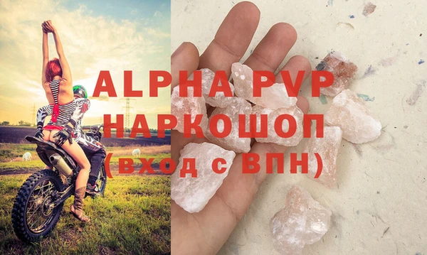 гашик Алексеевка