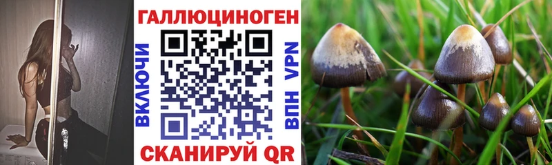 Псилоцибиновые грибы GOLDEN TEACHER  Учалы 
